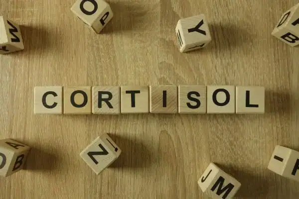 The Hidden Connection: How Stress Shapes Your Fitness and Body Composition 2 Image saying "Cortisol" and how stress Hertford impacts your wellbeing and bodies shape
